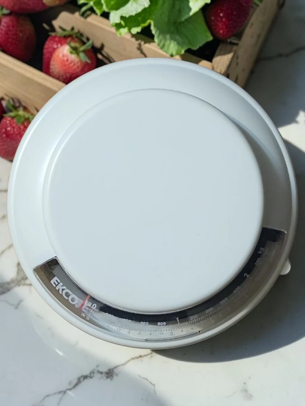NWT EKCO 5 lb 2 kg Mechanical Kitchen Food Scale White Analog Countertop
